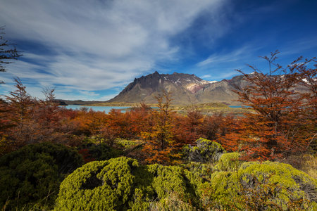 Autumn season in Patagonia mountains, South America, Argentinaの写真素材