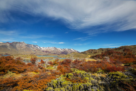 Autumn season in Patagonia mountains, South America, Argentinaの写真素材