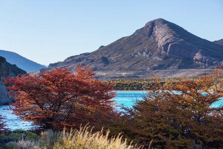 Autumn season in Patagonia mountains, South America, Argentinaの写真素材