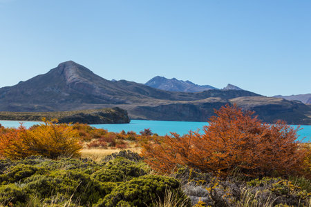 Autumn season in Patagonia mountains, South America, Argentinaの写真素材