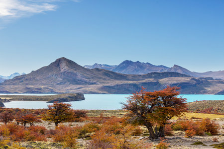 Autumn season in Patagonia mountains, South America, Argentinaの写真素材