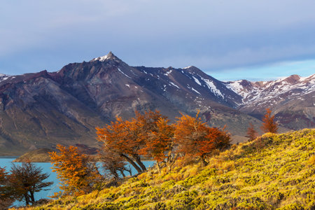 Autumn season in Patagonia mountains, South America, Argentinaの写真素材