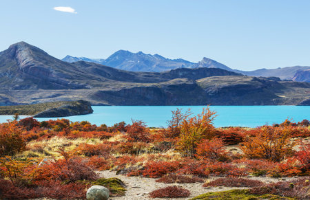 Autumn season in Patagonia mountains, South America, Argentinaの写真素材