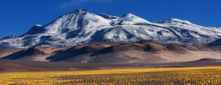 Fantastic Scenic landscapes of Northern Chile, Atacama desert. Beautiful inspiring natural landscapes. Kalgaspores in high mountains.の写真素材
