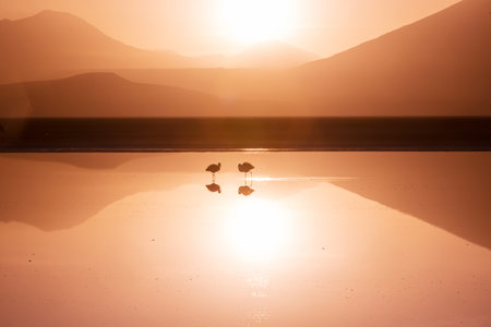 Beautiful natural landscapes in Atacama desert, northern Chileの写真素材