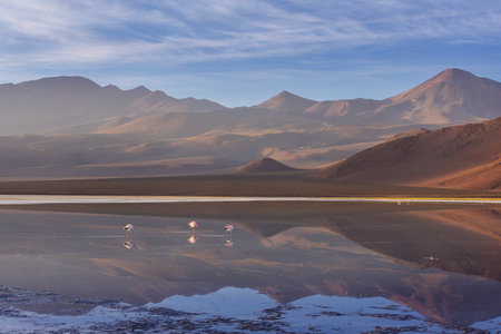 Beautiful natural landscapes in Atacama desert, northern Chileの写真素材
