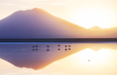 Beautiful natural landscapes in Atacama desert, northern Chileの写真素材