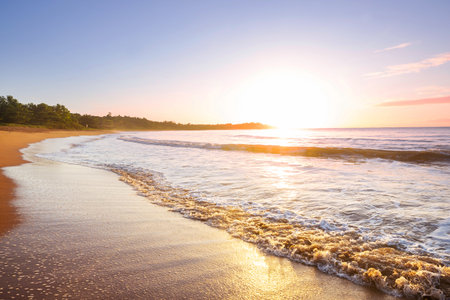 Beautiful summer landscapes  on the tropical beach. Vacation background.の写真素材