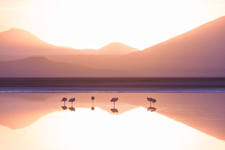 Beautiful natural landscapes in Atacama desert, northern Chileの写真素材