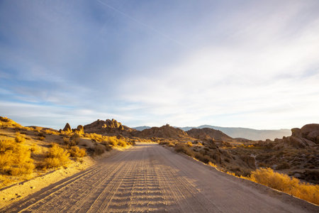 Road in the prairie country. Deserted natural travel background.の写真素材