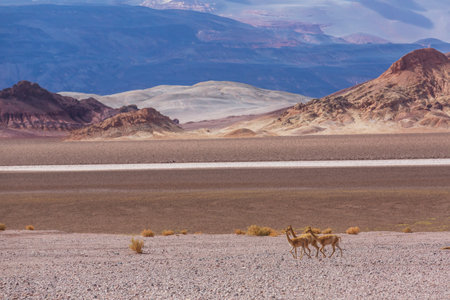 Fantastic Scenic landscapes of Northern Argentina. Beautiful inspiring natural landscapes.の写真素材