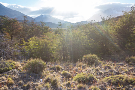 Mountain meadow in sunny day. Natural summer landscape.の写真素材