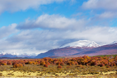 Autumn season in Patagonia mountains, South America, Argentinaの写真素材