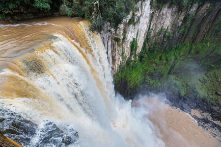 Giant waterfall in Brazilian jungleの写真素材