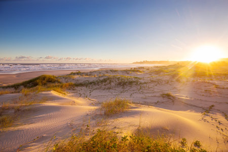 Sand dunes on the ocean beach in Brazil. Sunrise scene  on the Atlantic Ocean coast..の写真素材