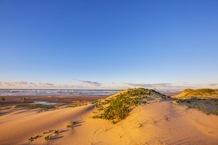 Sand dunes on the ocean beach in Brazil. Sunrise scene  on the Atlantic Ocean coast..の写真素材