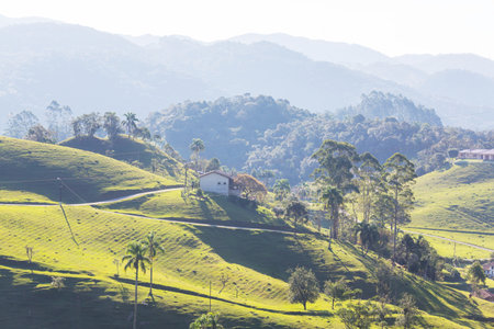 Beautiful green rural landscapes in a Brazil, South Americaの写真素材