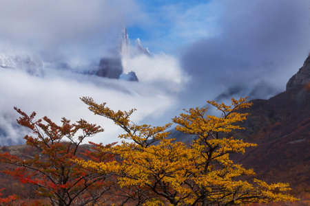 Autumn season in Patagonia mountains, South America, Argentinaの写真素材