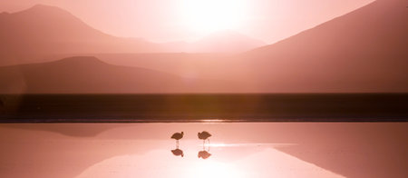 Beautiful natural landscapes in Atacama desert, northern Chileの写真素材