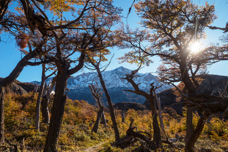 Autumn season in Patagonia mountains, South America, Argentinaの写真素材