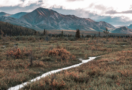 Beautiful high mountains in Alaska, United States. Amazing natural background.の写真素材