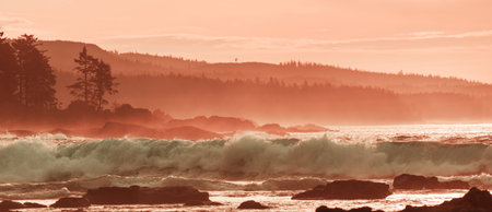Ocean beach at sunset for natural backgroundの写真素材