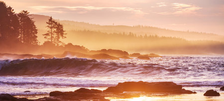 Ocean beach at sunset for natural backgroundの写真素材
