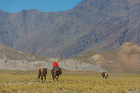 Gaucho on the horse in Argentinaの写真素材