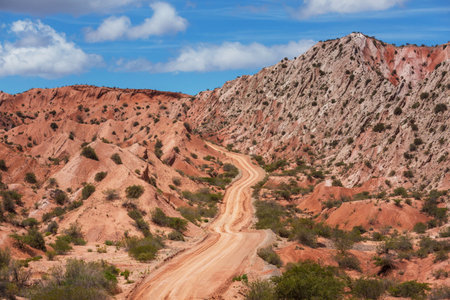 Legendary Ruta 40 near Cafayate in Northern Argentina, South America