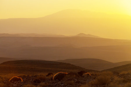 desert at sunrise, Chile, Atacamaの写真素材