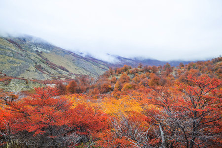 Autumn season in Patagonia mountains, South America, Argentinaの写真素材