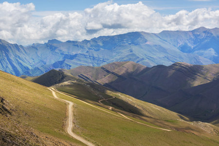 Summer green hills  in mountains  landscapes in the morning fog