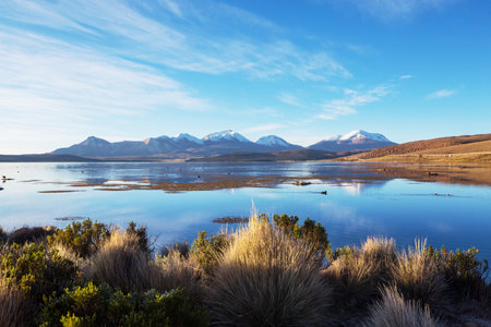 Beautiful natural landscapes in Atacama desert, northern Chileの写真素材