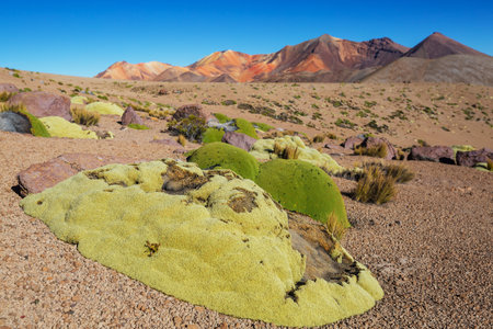 Rainbow mountains in Northern Chile, Atacama desert. Beautiful inspiring natural landscapes.