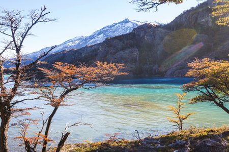 Autumn season in Patagonia mountains, South America, Argentinaの写真素材