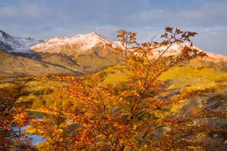 Colorful Autumn season in mountainsの写真素材