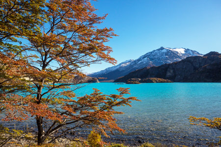 Autumn season in Patagonia mountains, South America, Argentinaの写真素材