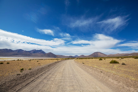 Fantastic Scenic landscapes of Northern Chile, Atacama desert. Beautiful inspiring natural landscapes. Kalgaspores in high mountains.の写真素材