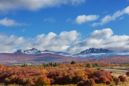Autumn season in mountains. Colorful natural background.の写真素材