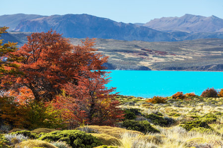 Perito Moreno National Park in Argentina, South America. Beautiful colorful autumn season.の写真素材