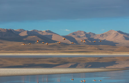 Beautiful natural landscapes in Atacama desert, northern Chileの写真素材