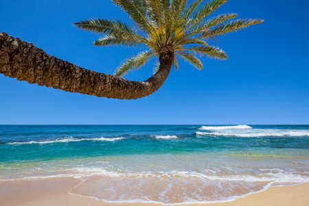 Beautiful summer landscapes  on the tropical beach. Vacation background.の写真素材