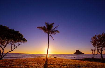 Beautiful sunset  landscapes in Oahu island, Hawaiiの写真素材