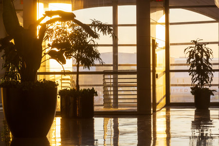 Flowers in the modern interior