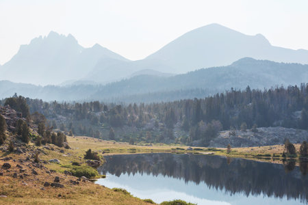 Serenity lake in the mountains in summer season. Beautiful natural landscapes.
