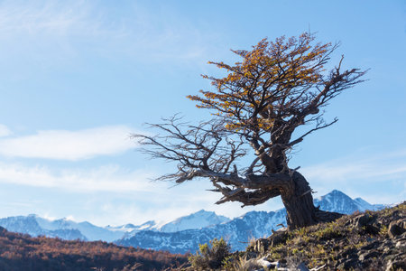 Colorful Autumn season in mountainsの写真素材