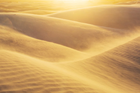 Sand dunes in northern Brazil at sunsetの写真素材