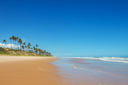 Beautiful summer landscapes  on the tropical beach in Brazil. Vacation background.の写真素材