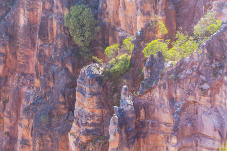 Rock formations in Jalapao National Park, Brazil, South Americaの写真素材