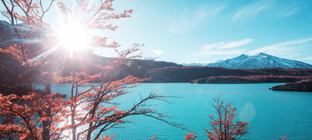 Autumn season in Patagonia mountains, South America, Argentinaの写真素材